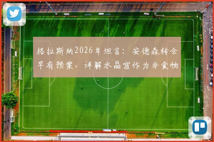 格拉斯纳2026年坦言：安德森转会早有预案，详解水晶宫作为非食物链顶端球队的生存之道与转会策略